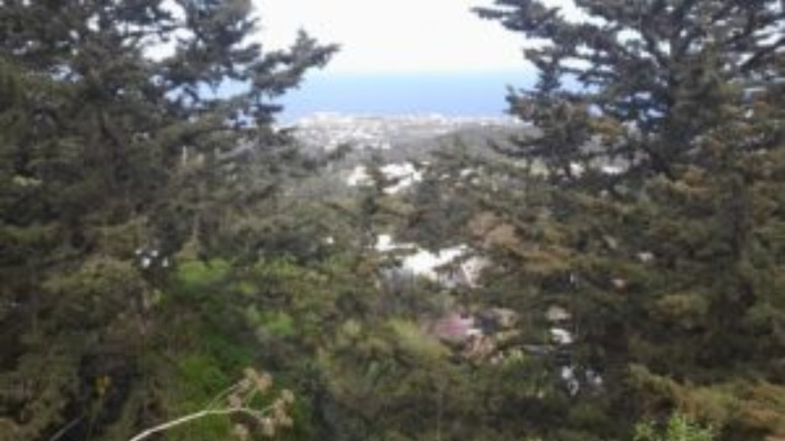 Land for sale Northern Cyprus Karmi