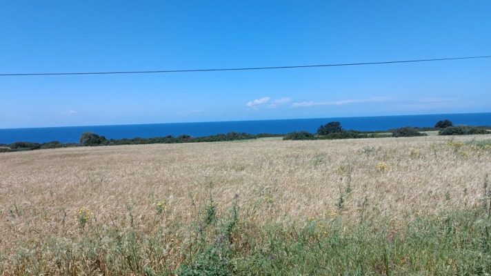 Land for sale Northern Cyprus Yeni Erenkoy