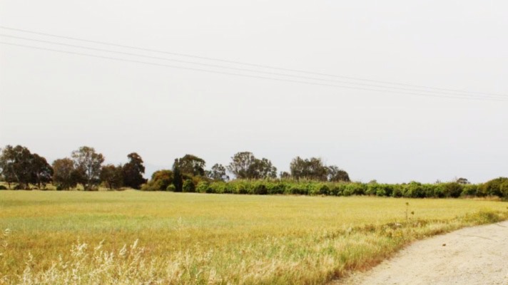 Land for sale North Cyprus Guzelyurt