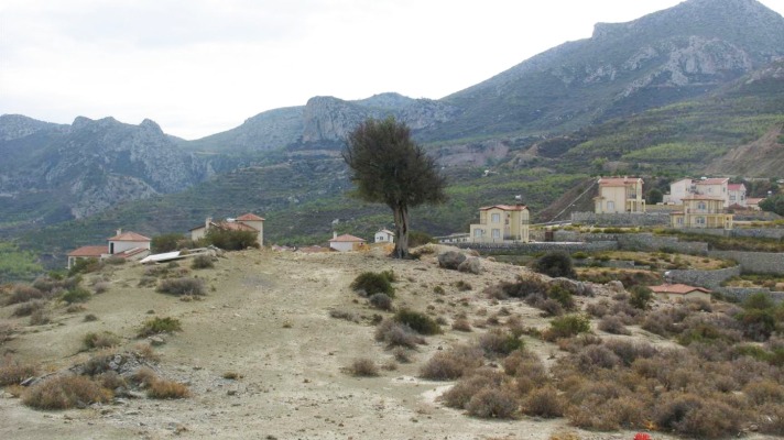 Land for sale North Cyprus Arapkoy