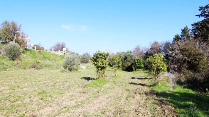 Land for sale North Cyprus Alasancak