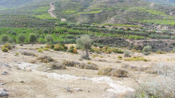 Land for sale North Cyprus Arapkoy