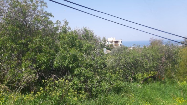 Land for sale Northern Cyprus Edremit