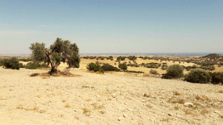 Land for sale North Cyprus Kumyali