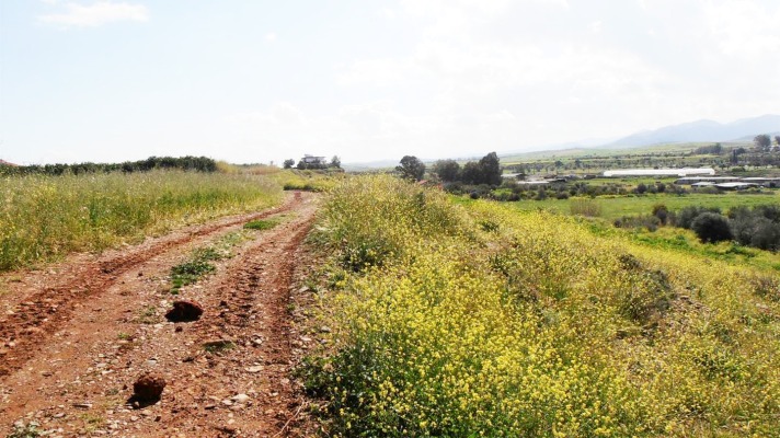 Land for sale North Cyprus Kumyali