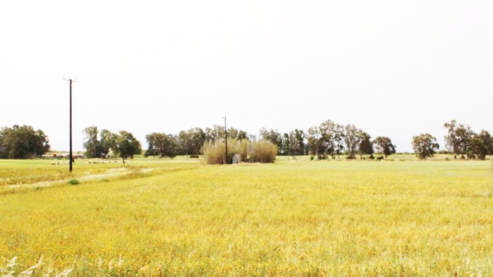 Land for sale North Cyprus