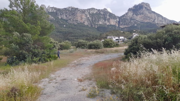 Land for sale Northern Cyprus Zeytinlik