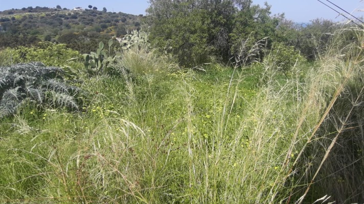Land for sale Northern Cyprus Edremit