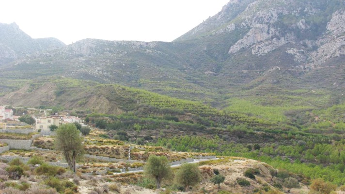 Land for sale North Cyprus Arapkoy
