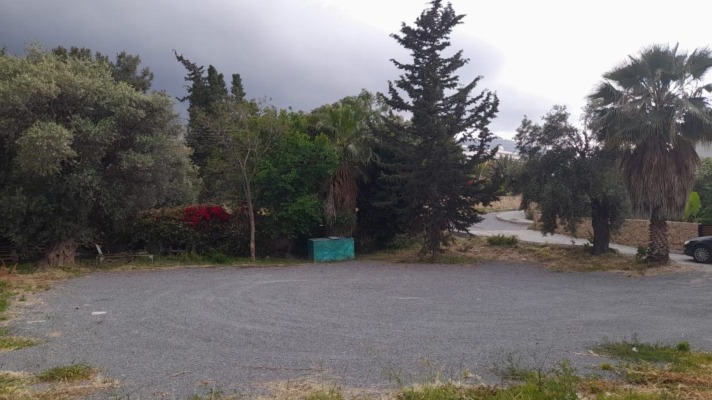 Land for sale Northern Cyprus Zeytinlik