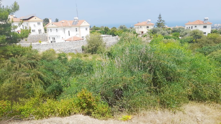 Land for sale North Cyprus Bellapais