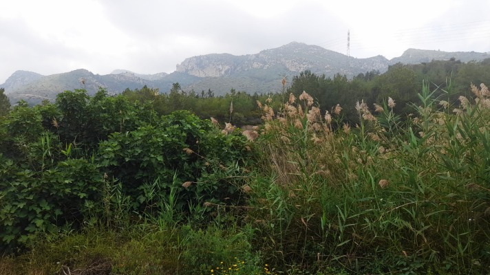 Land for sale North Cyprus Bellapais