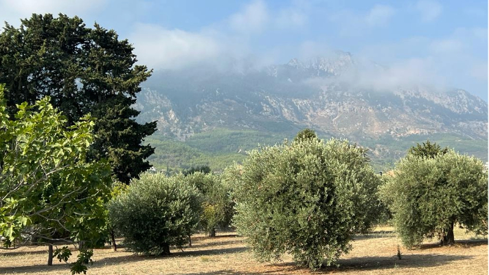 Northern Cyprus land for sale Lapta Kyrenia