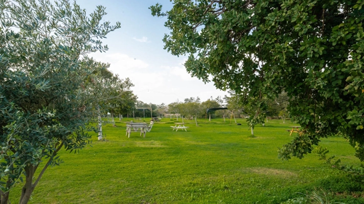 North Cyprus property for sale Garden
