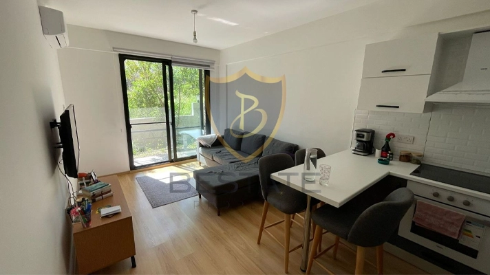 Properties for sale in Northern Cyprus livingroom