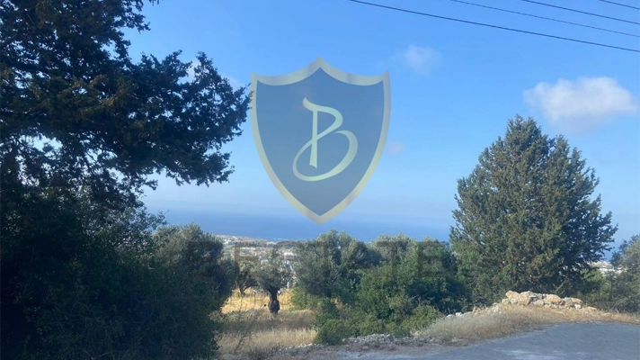 Properties for sale in Northern Cyprus land