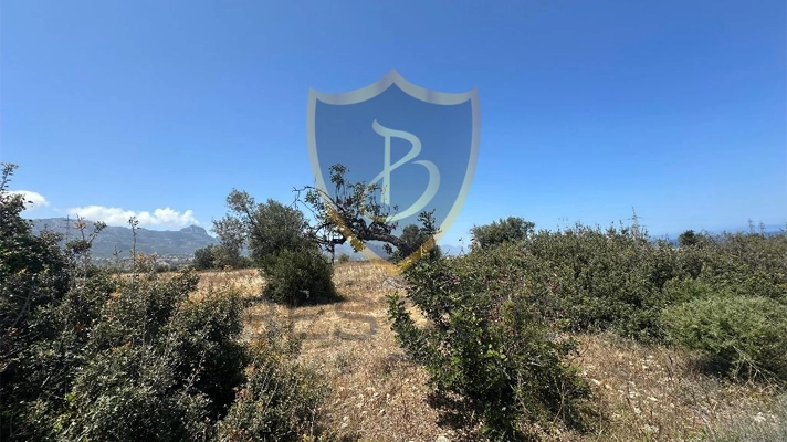 North Cyprus property for sale land