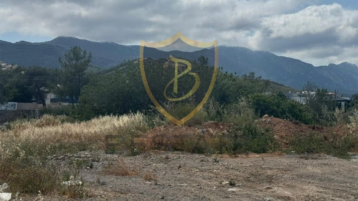 Northern Cyprus property for sale land