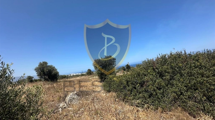 Northern Cyprus property for sale land