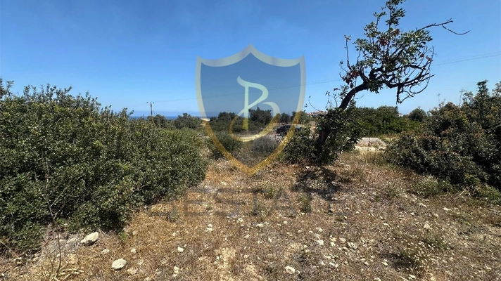 Properties for sale in North Cyprus land
