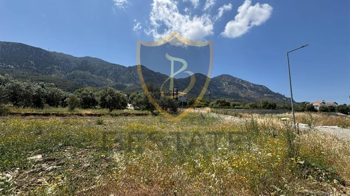 Properties for sale in North Cyprus land