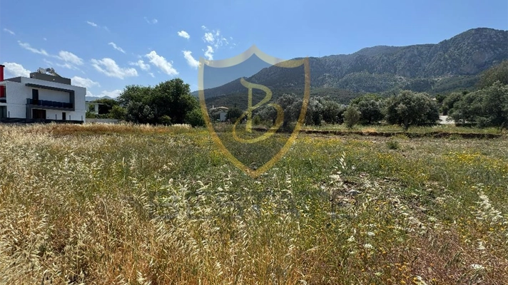 Property for sale in Northern Cyprus land