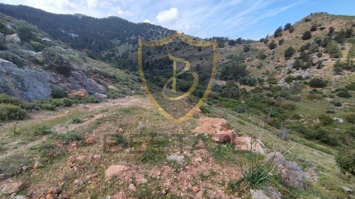Properties for sale in North Cyprus land