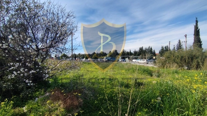 North Cyprus property for sale land