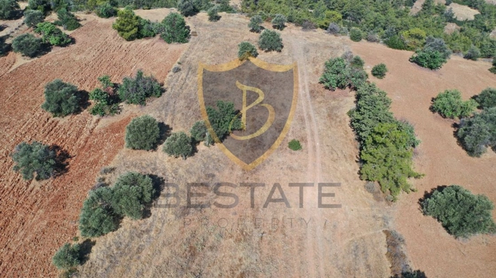 Northern Cyprus properties for sale land
