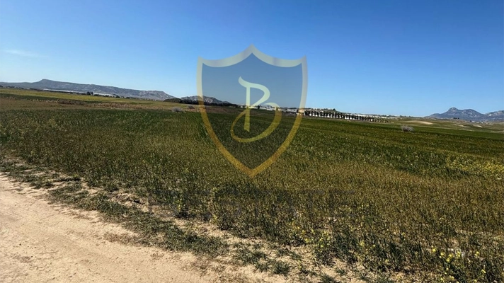 Properties for sale in North Cyprus land