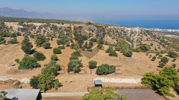 Properties for sale in North Cyprus land