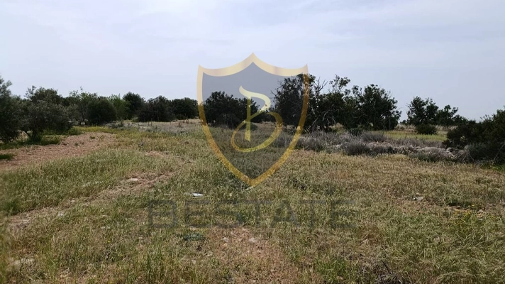Properties for sale in Northern Cyprus land