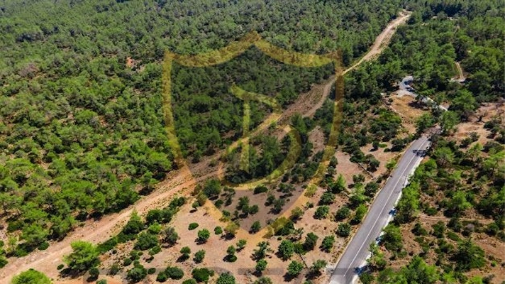 Properties for sale in Northern Cyprus land