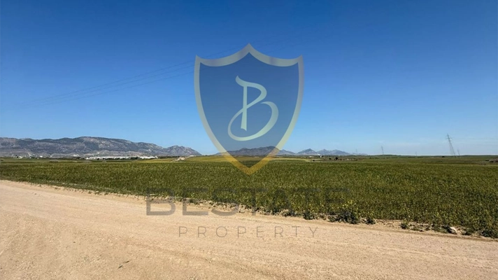 Properties for sale in Northern Cyprus land