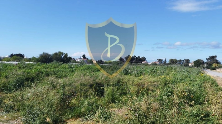 Properties for sale in Northern Cyprus land